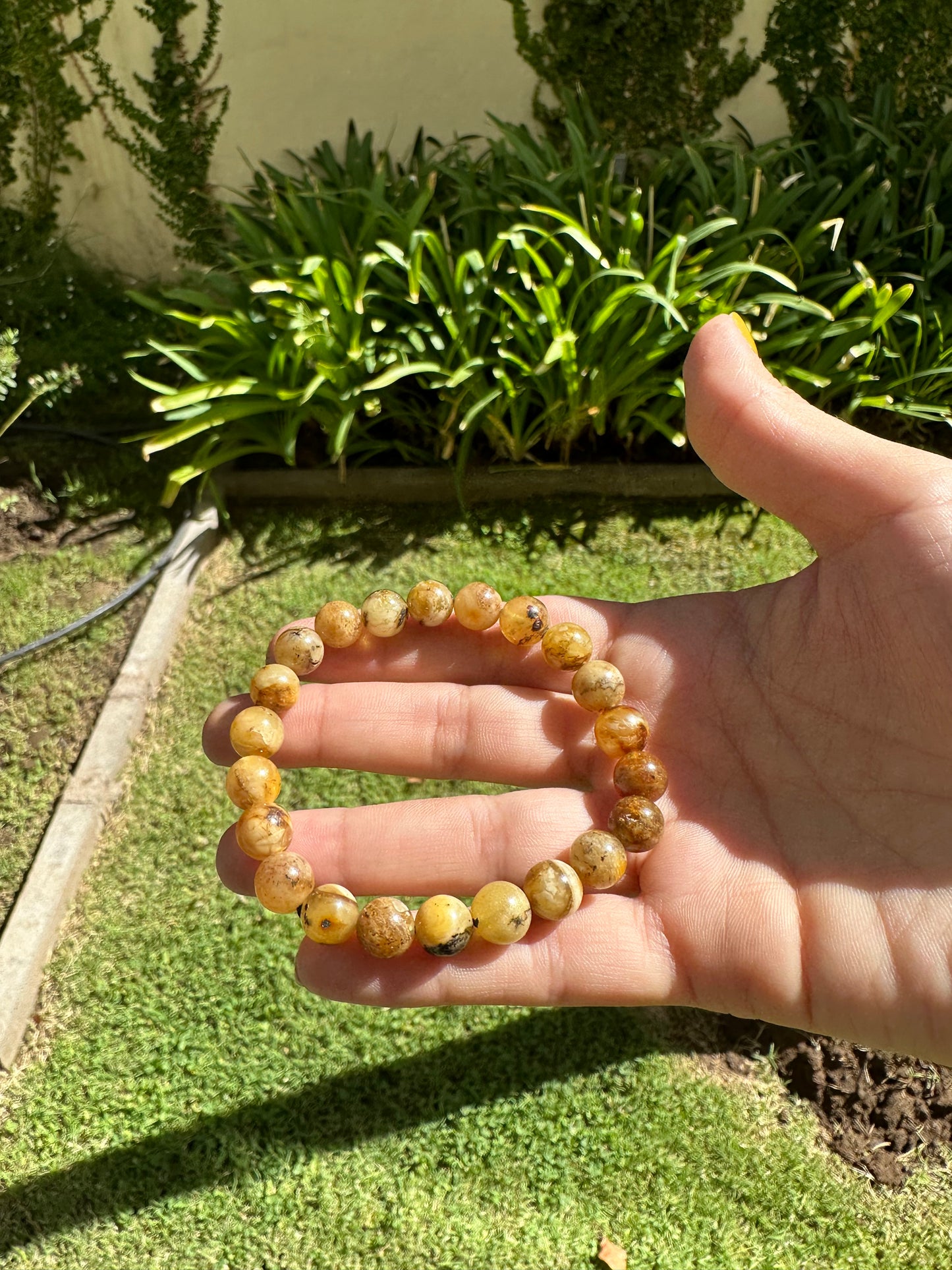 Amber Bracelet - Health