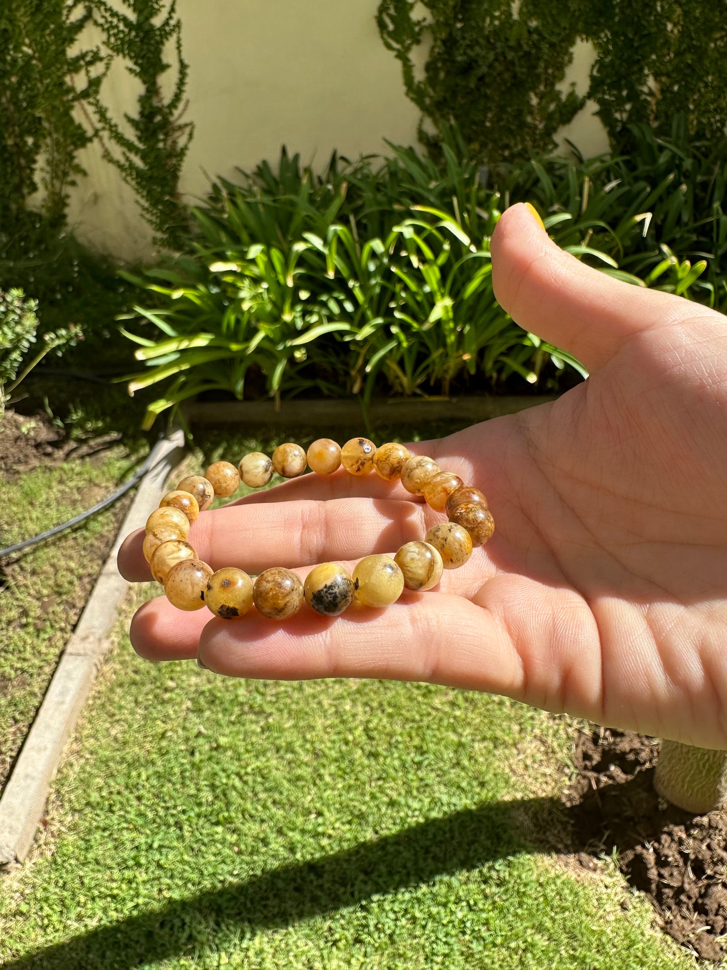 Amber Bracelet - Health